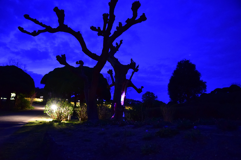 能古島の変なの