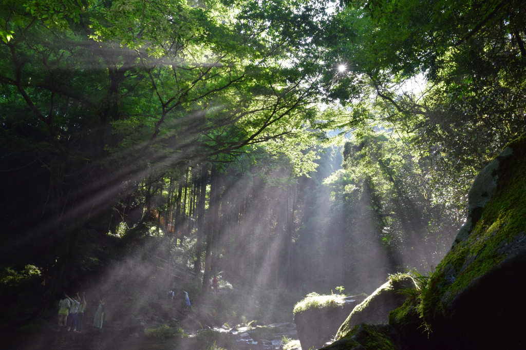 木漏れ日の差す鍋ケ滝