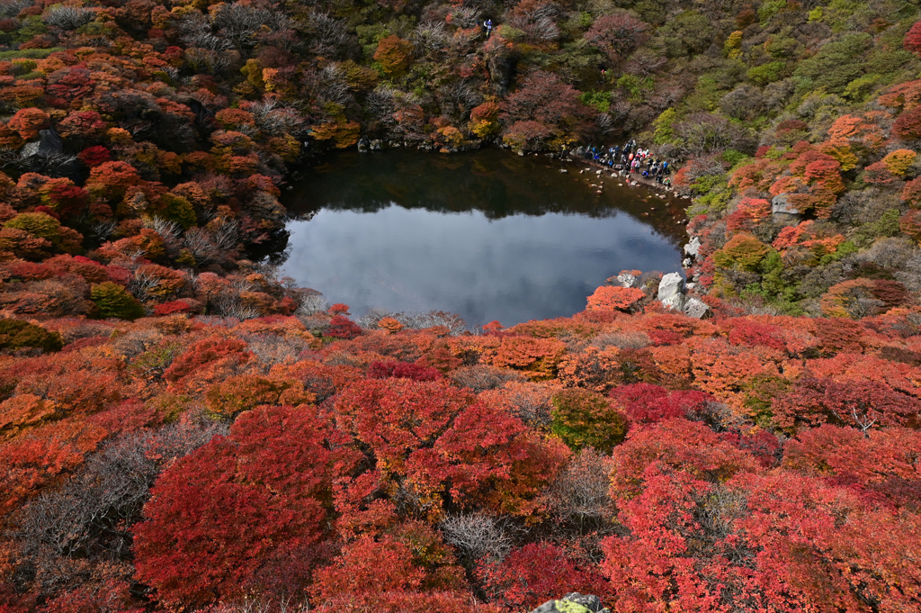 鮮やかな紅葉♪