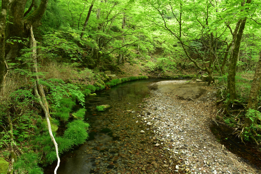 男池湧水群