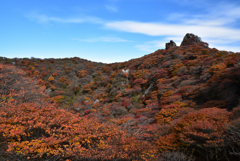 大船山の紅葉