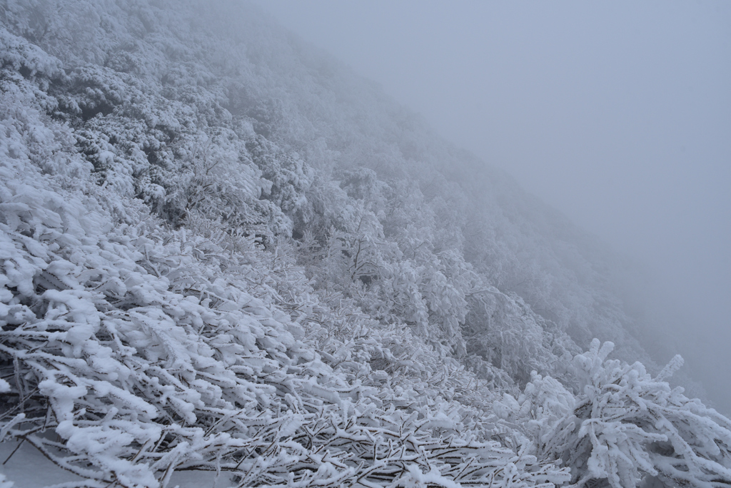 冬の伯耆大山