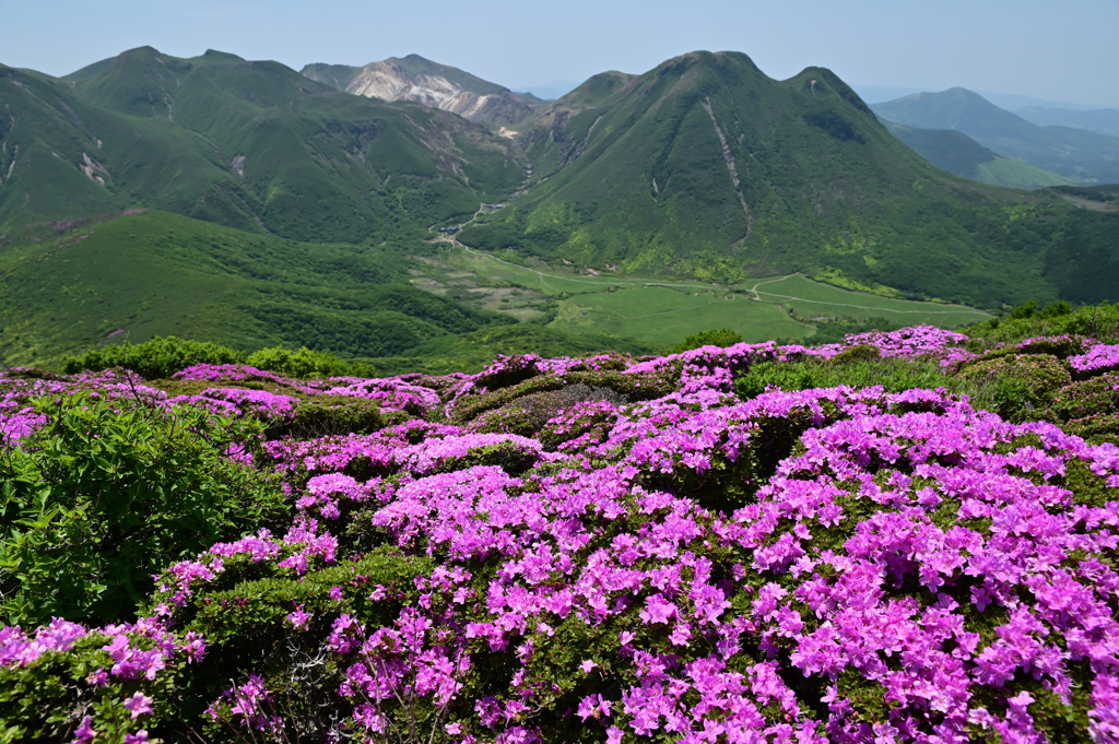 くじゅう連山を望んでⅡ