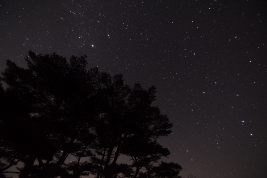 えびの高原の星空③