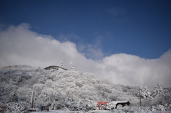 鶴見岳の樹氷