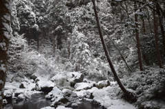 雪の鍋ヶ滝⑦