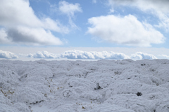 モコモコの雲と雪と