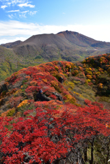 紅葉越しに大船山を望んで