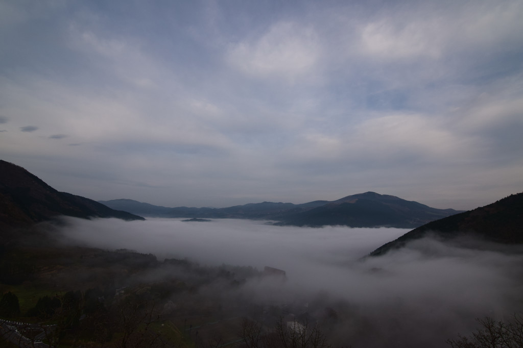 狭霧台雲海②