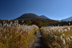 秋のくじゅう連山