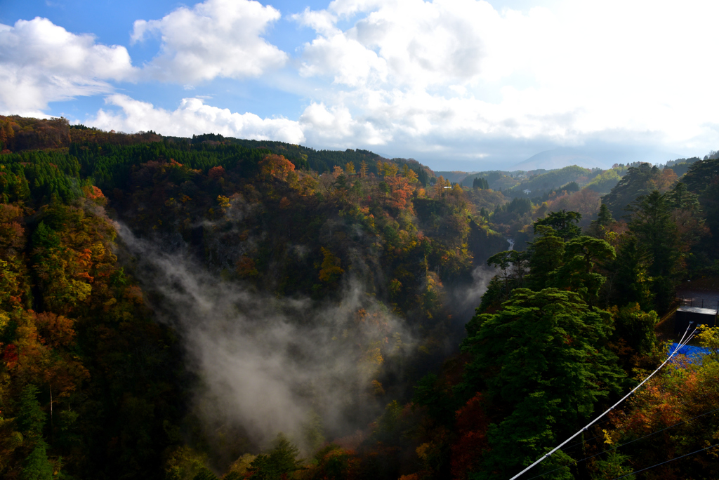 九重“夢”大吊橋