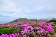 星生山を望んで