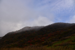 くじゅうの紅葉まもなくです（＾＾）