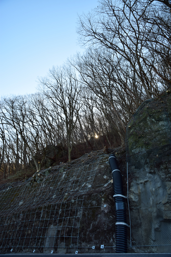 コルゲートチューブでかっ！