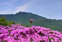 大船山を望んで