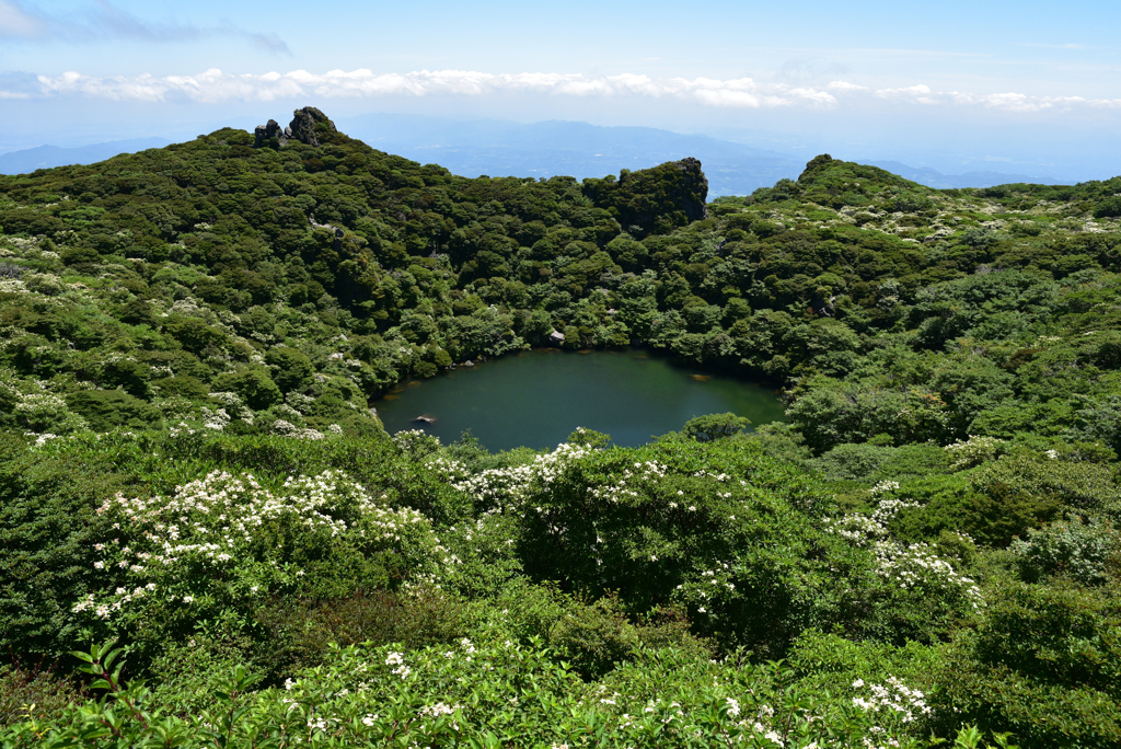 御池を望んで