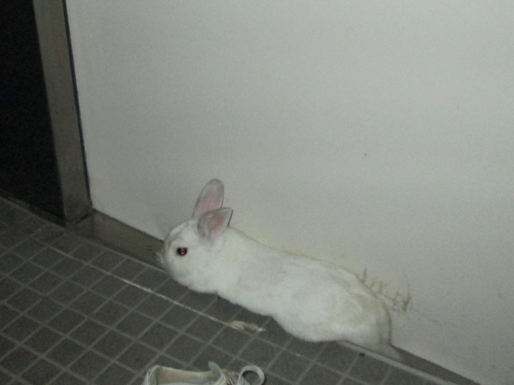 そこ、狭くない？