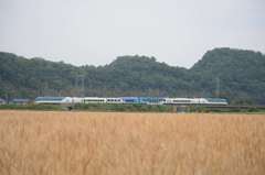 近鉄しまかぜ