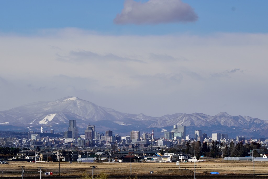 仙台市街