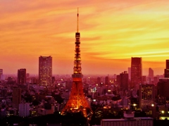 tokyo　tower