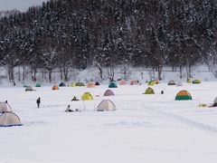 桜岡湖　ワカサギ釣り