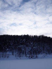 桜岡湖