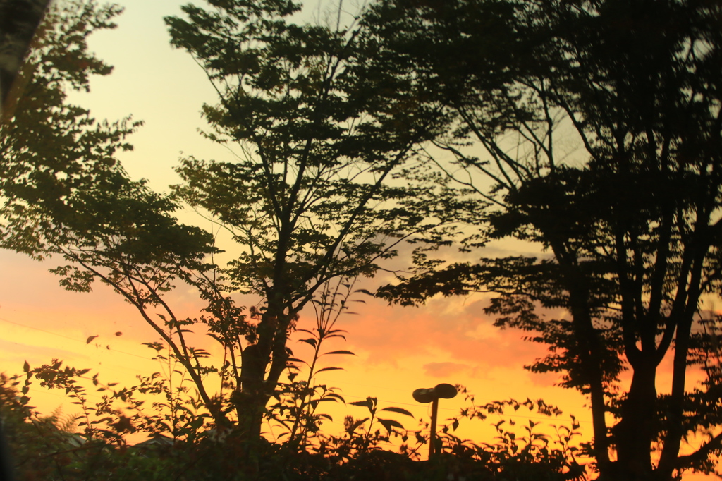 夕景かがみ越し