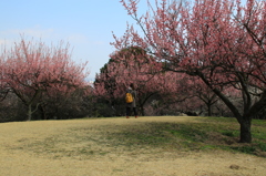 きれいだね❢❢