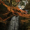 晩秋の小滝