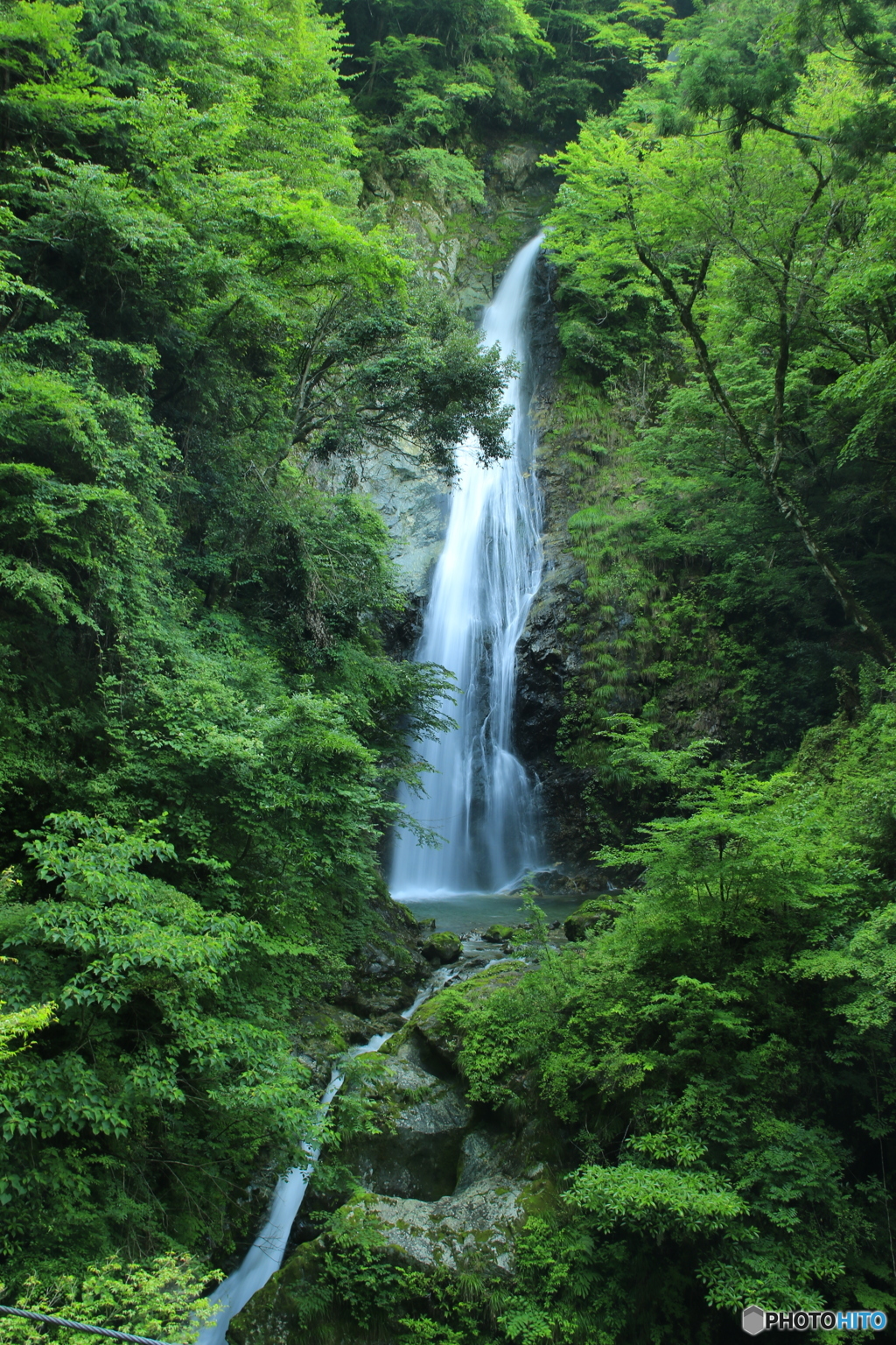 梅雨の一休み！