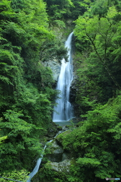 梅雨の一休み！