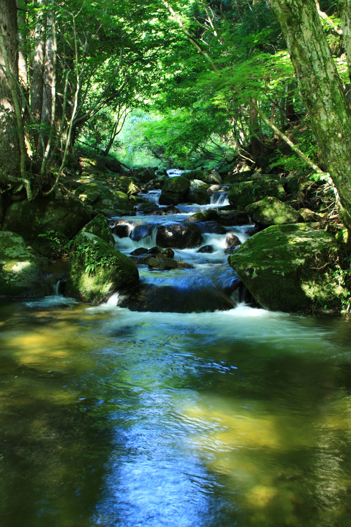 一休み小川で””