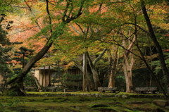 茶屋