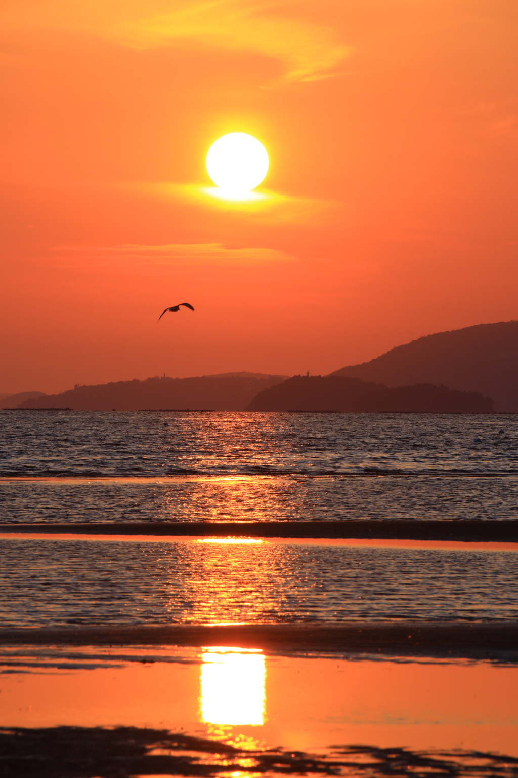 夕日だ❢❢