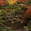 秋の小池