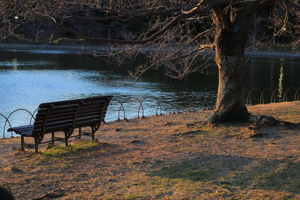 夕暮れのベンチ