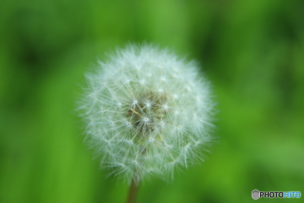 大雨の中で。。