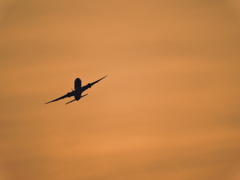 2014_1221_161224-DSCN0367
