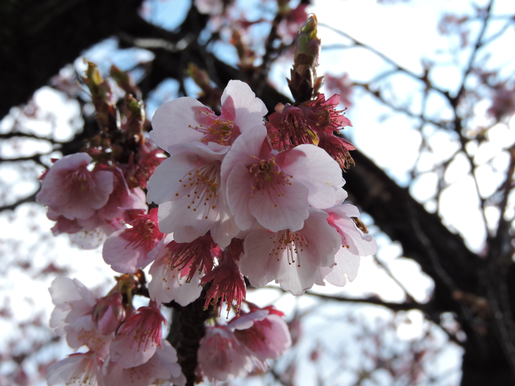 2015_0227_114654-DSCN1265