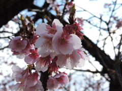 2015_0227_114654-DSCN1265