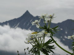 槍ヶ岳