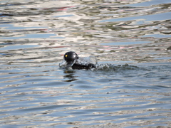 2015_0228_143016-DSCN1455