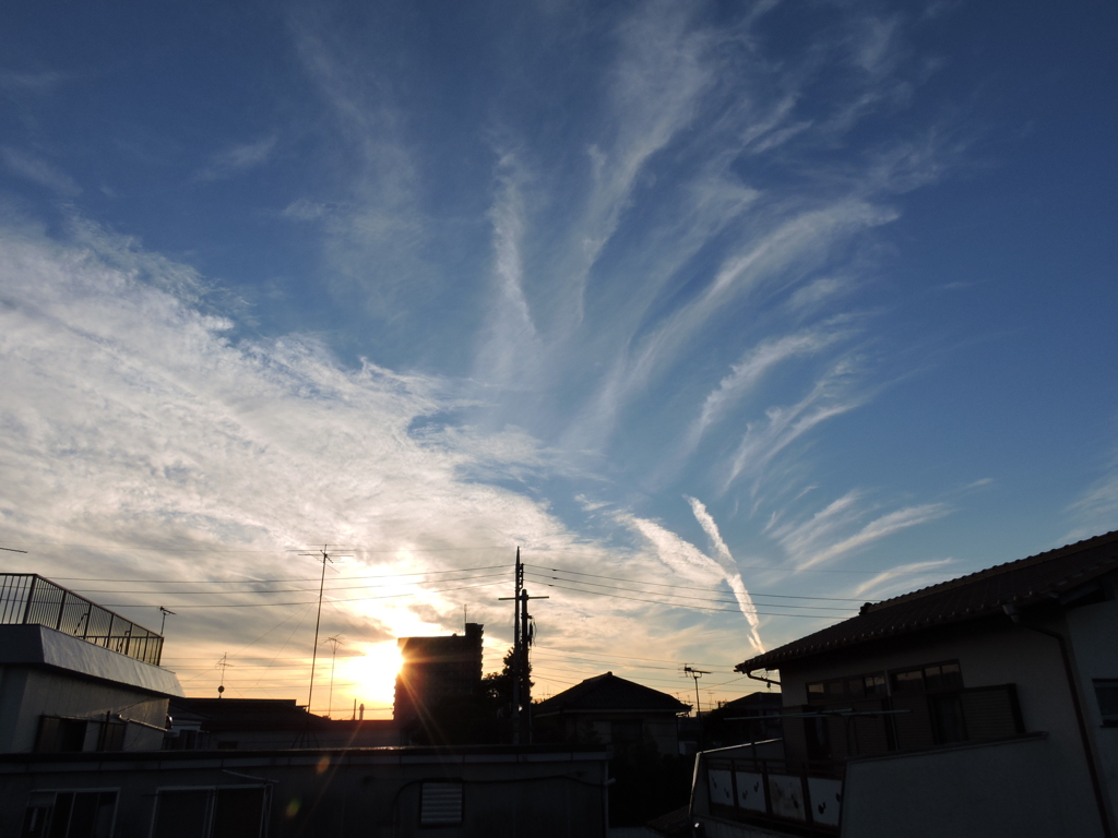 2014_1223_155555-DSCN0529