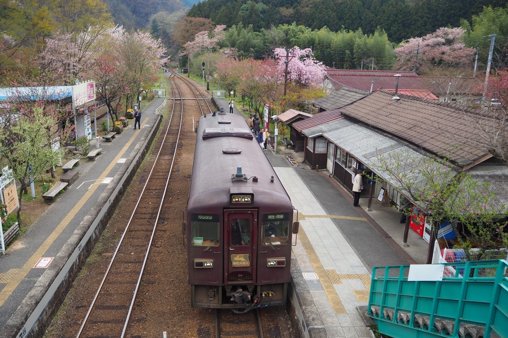 山の駅の春２