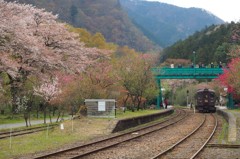 山の駅の春３