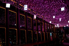 紫の夜