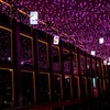 紫の夜