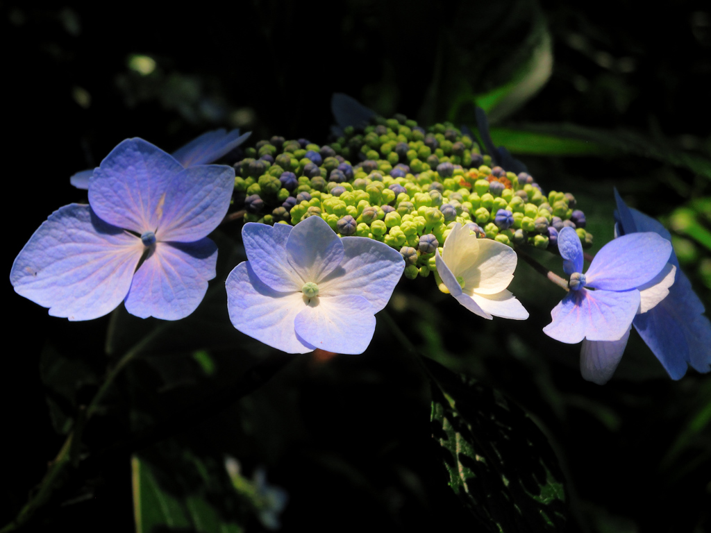 DSCN1147_01