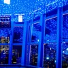 青い夜