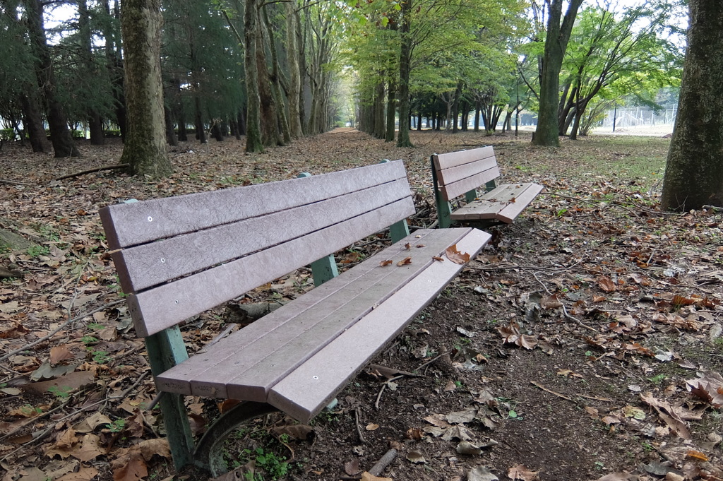 晩秋の公園
